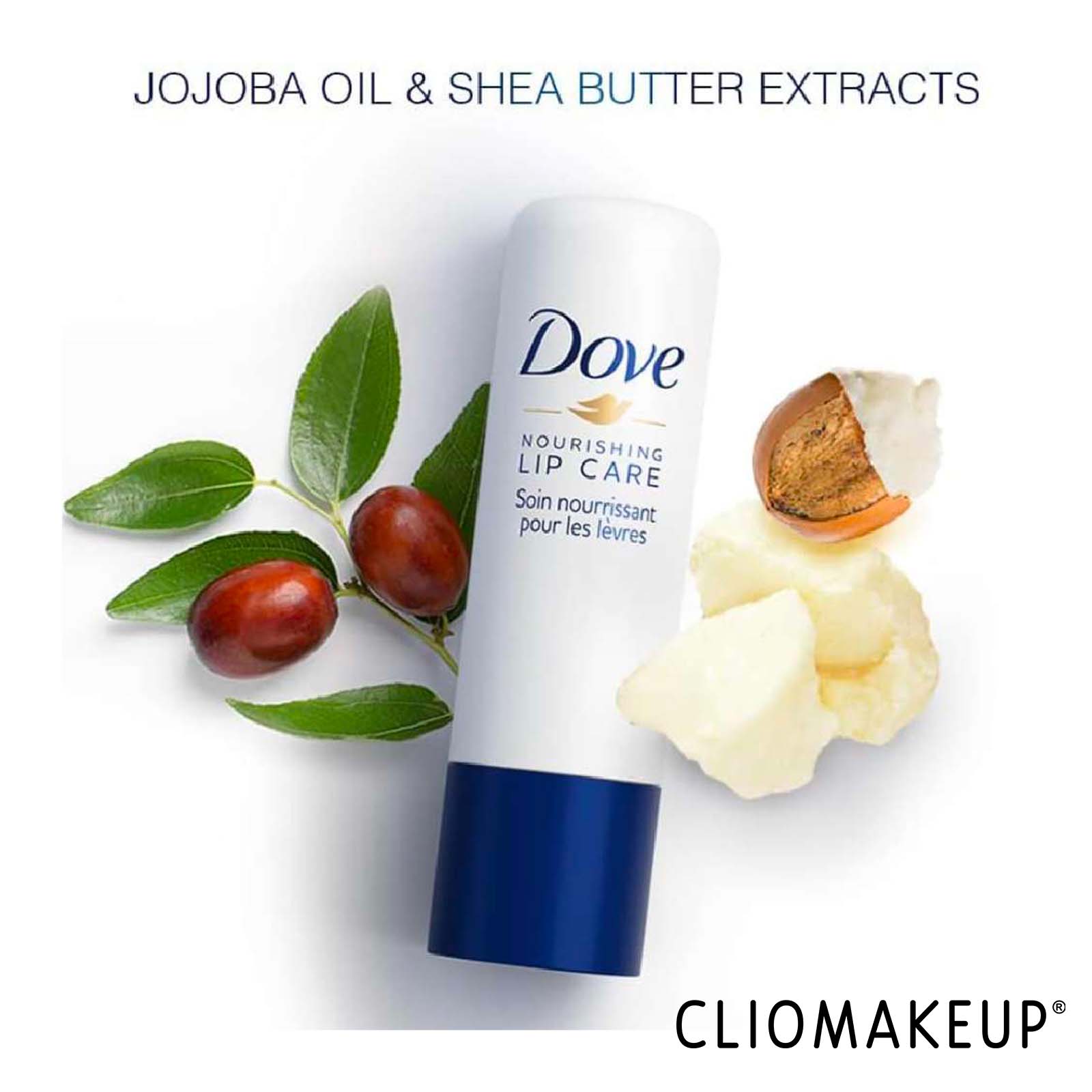 recensione-balsamo-labbra-dove-nourishing-lip-care-ingredienti